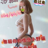 13419ba36756a6cdf2cc36bdb4f50609